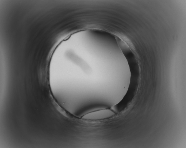 X0000086740816200705041406