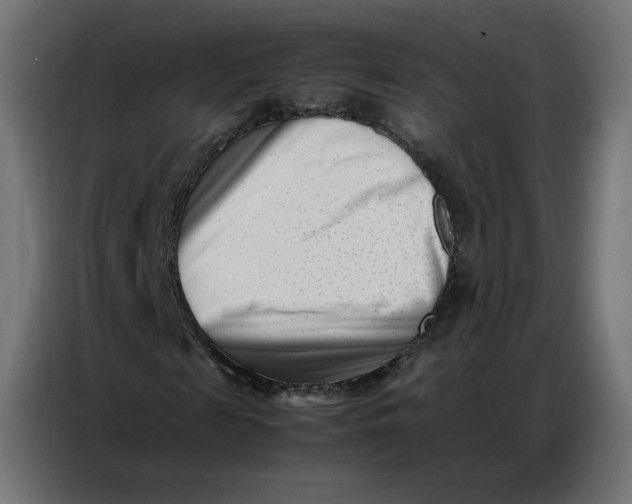 X0000086740817200705041405