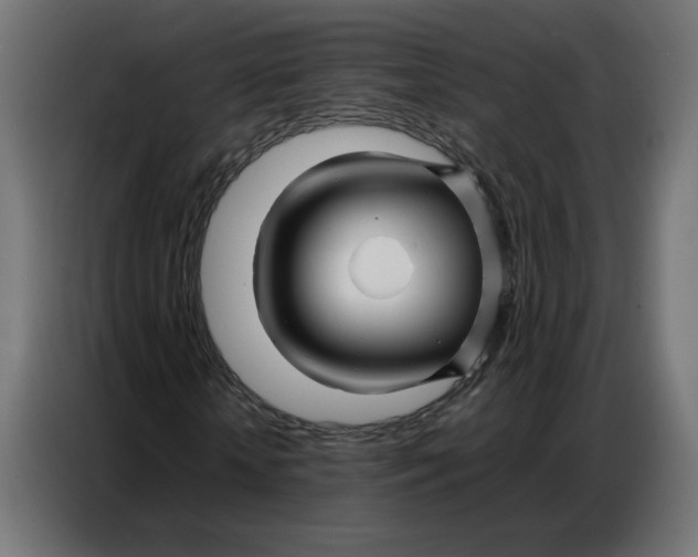 X0000086740818200705041405