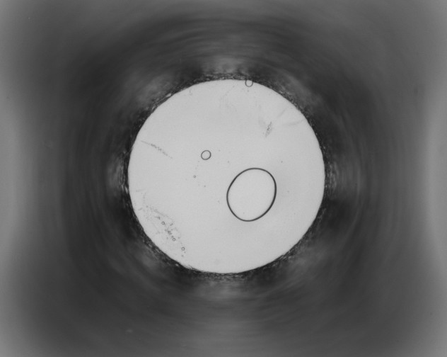 X0000086740820200705041405