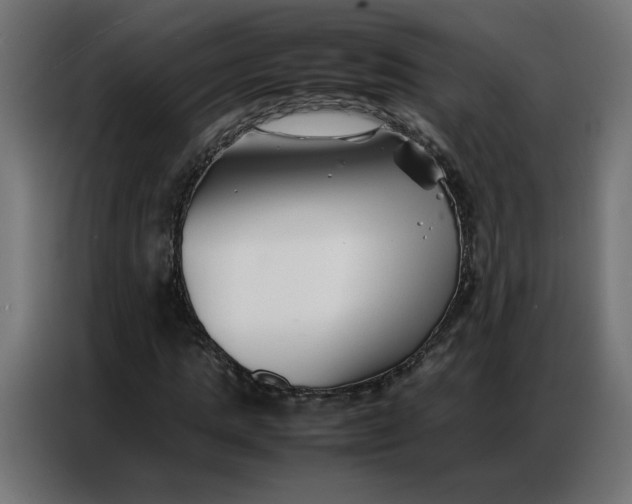 X0000086740821200705041406