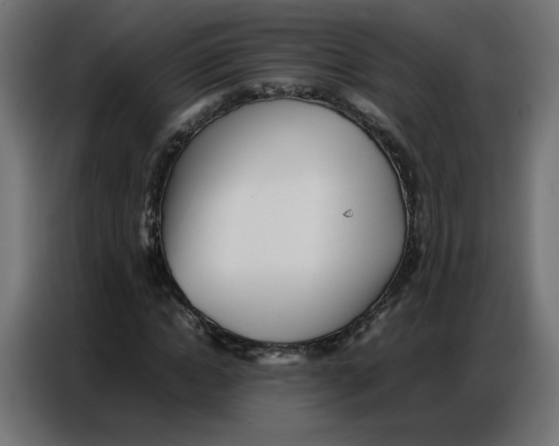 X0000086740822200705041406