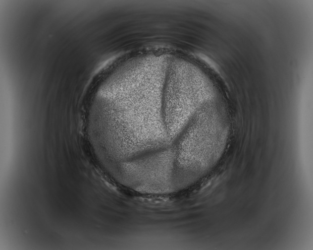 X0000086740823200705041406