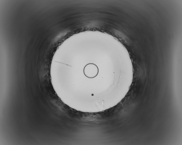 X0000086740824200705041406