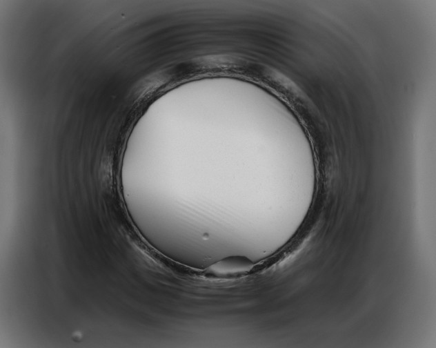 X0000086740825200705041406