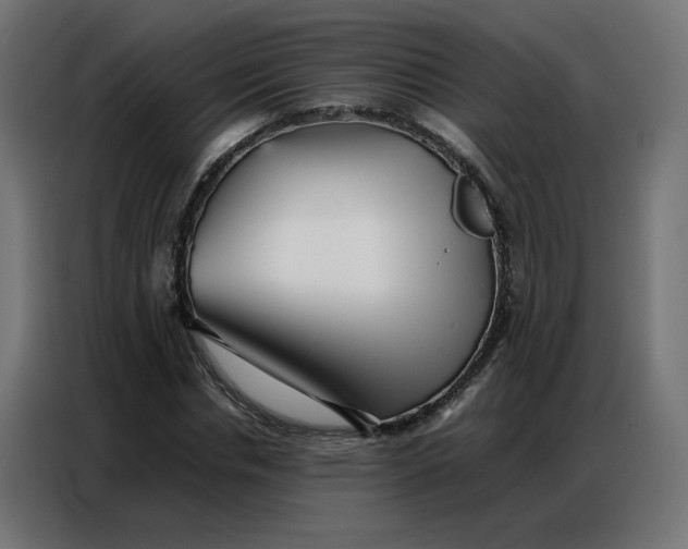 X0000086740826200705041406