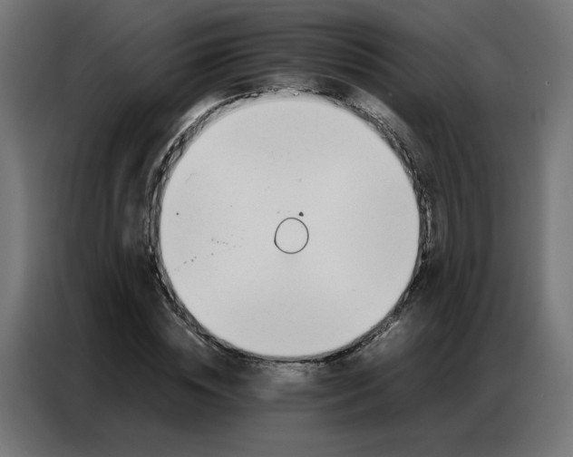 X0000086740828200705041406