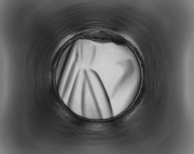 X0000086740829200705041406