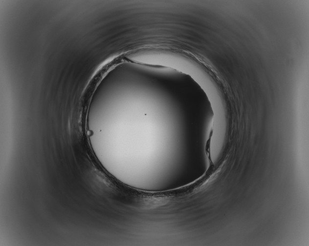 X0000086740830200705041406