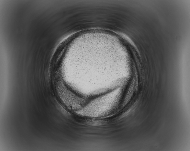 X0000086740831200705041406