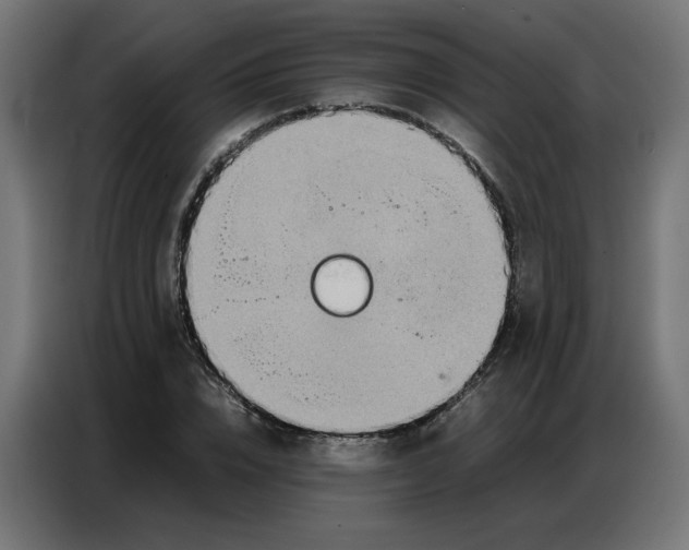 X0000086740832200705041406