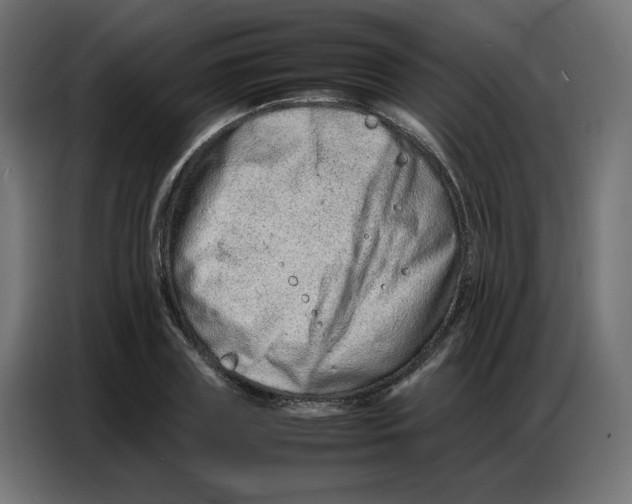 X0000086740835200705041406