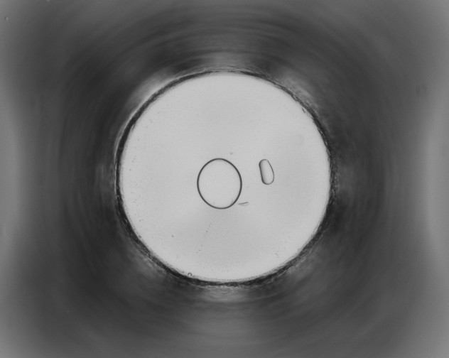 X0000086740836200705041406