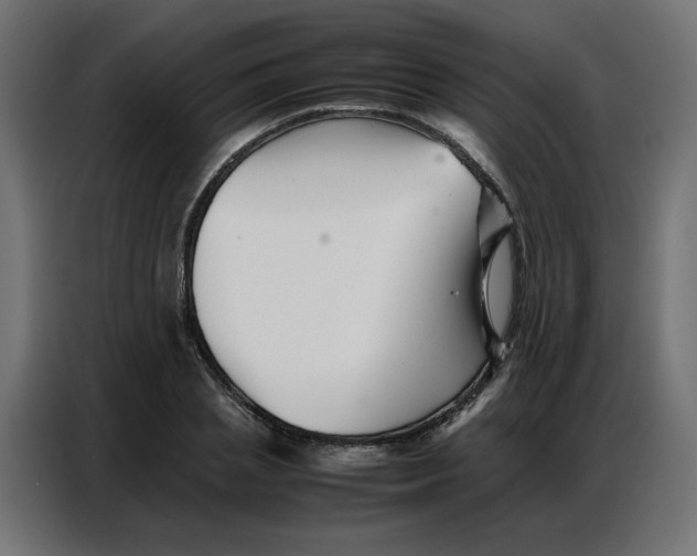 X0000086740837200705041406