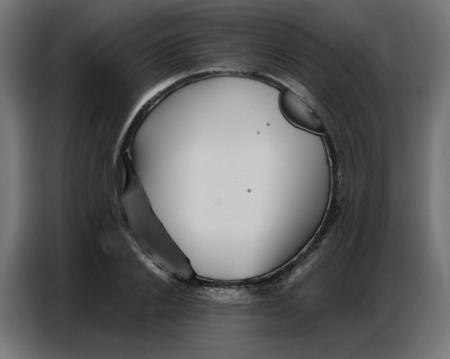 X0000086740838200705041406