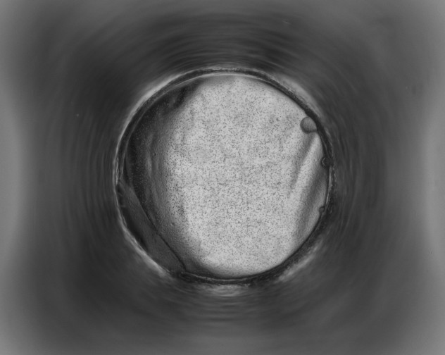 X0000086740839200705041406