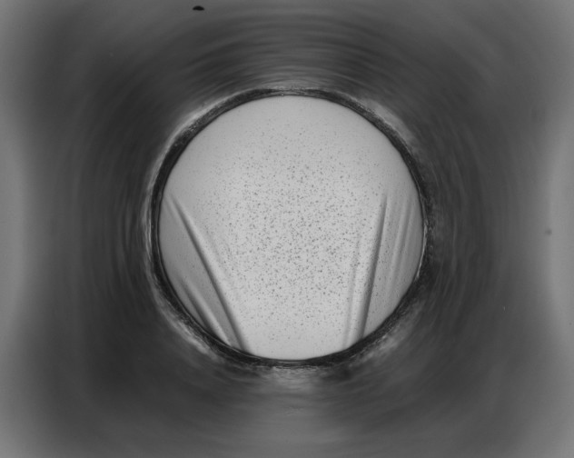 X0000086740840200705041406