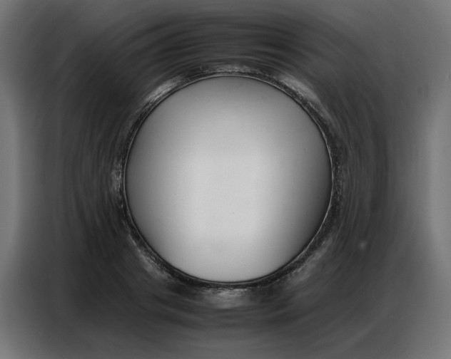 X0000086740841200705041406