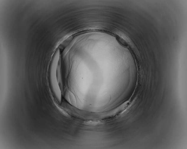 X0000086740842200705041406