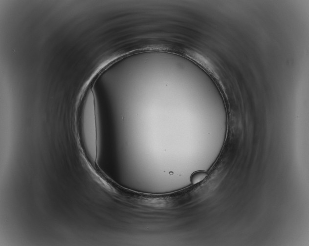 X0000086740843200705041406