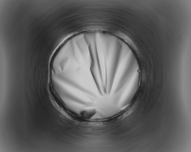 X0000086740844200705041406