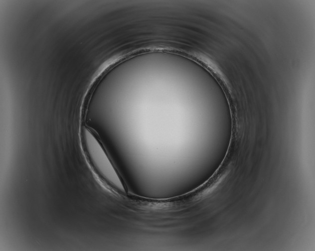 X0000086740845200705041406