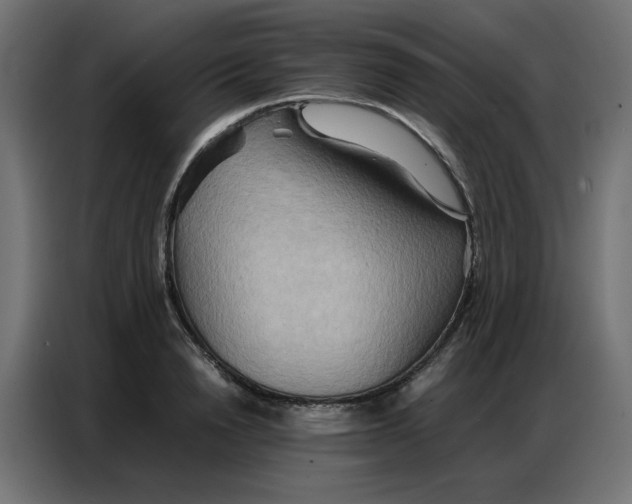 X0000086740846200705041406