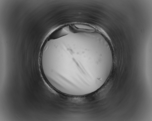 X0000086740847200705041406