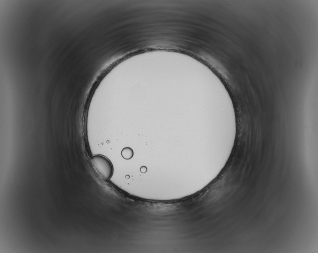 X0000086740848200705041406