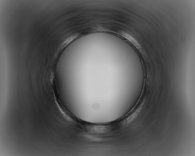 X0000086740849200705041406