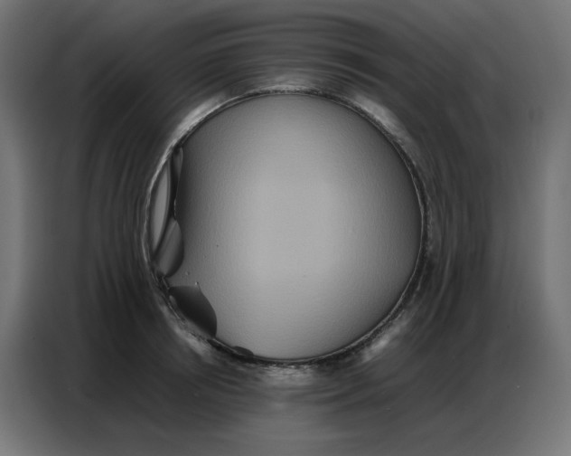 X0000086740850200705041406