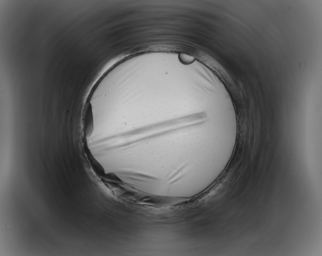 X0000086740852200705041406