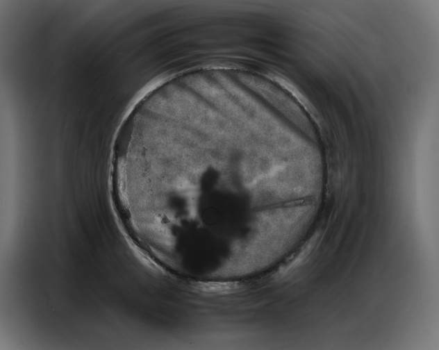 X0000086740853200705041406