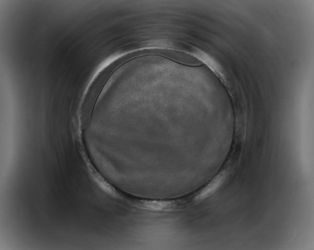 X0000086740854200705041406