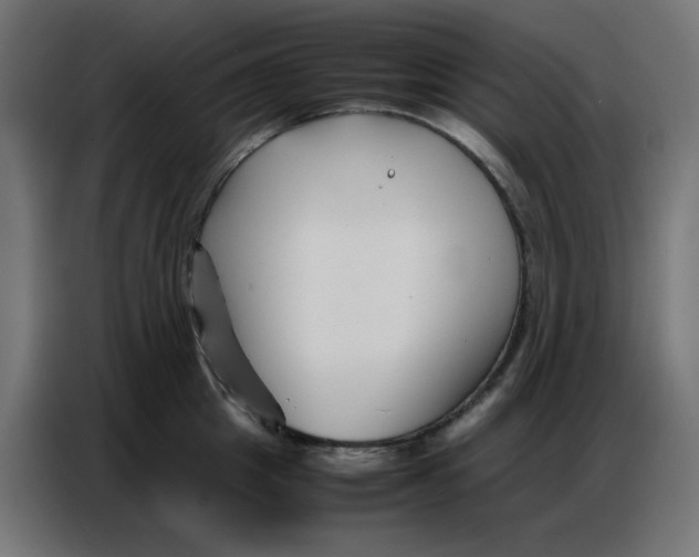 X0000086740857200705041406