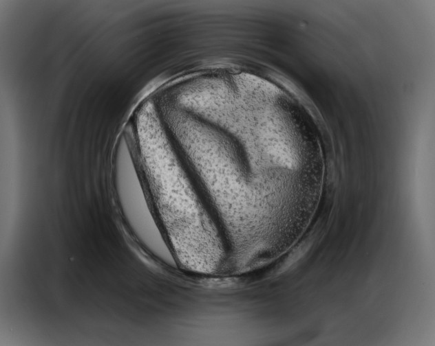 X0000086740858200705041406