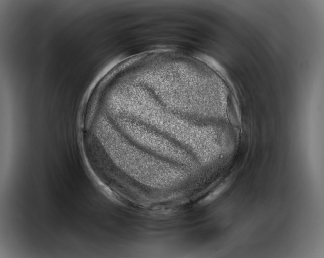 X0000086740859200705041406