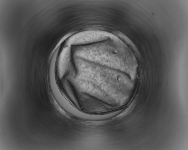 X0000086740860200705041406