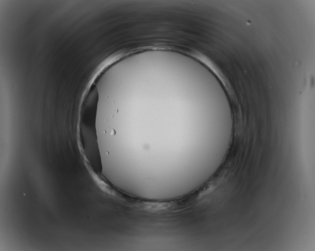 X0000086740861200705041406