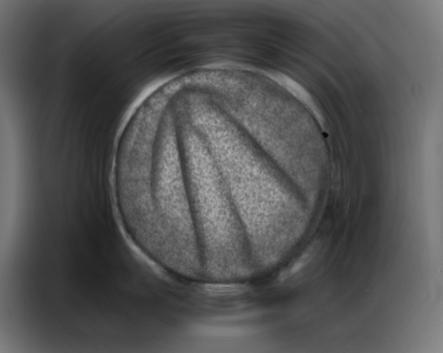 X0000086740863200705041406