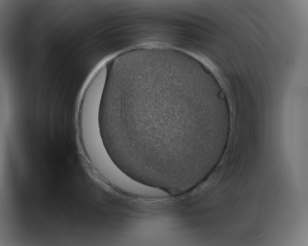 X0000086740864200705041406