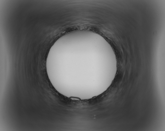 X0000086740865200705041405