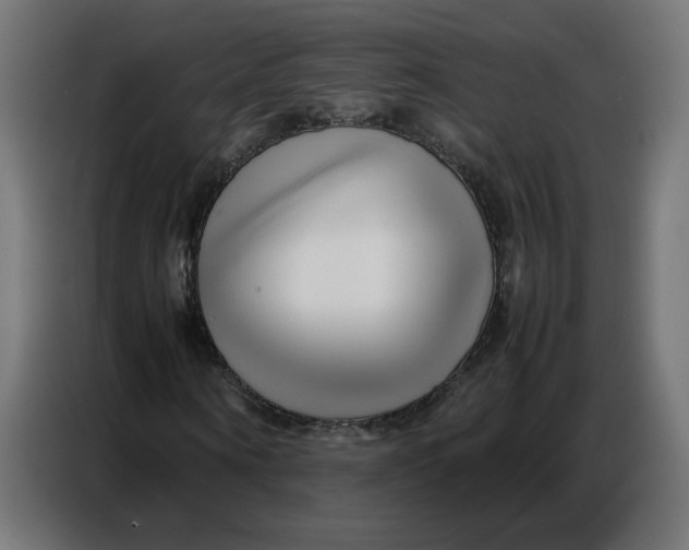 X0000086740866200705041405