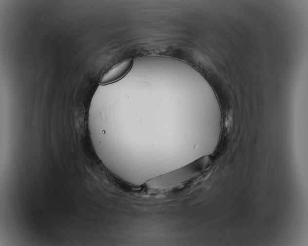 X0000086740867200705041405