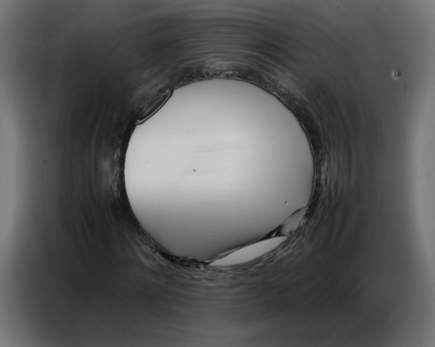 X0000086740868200705041405