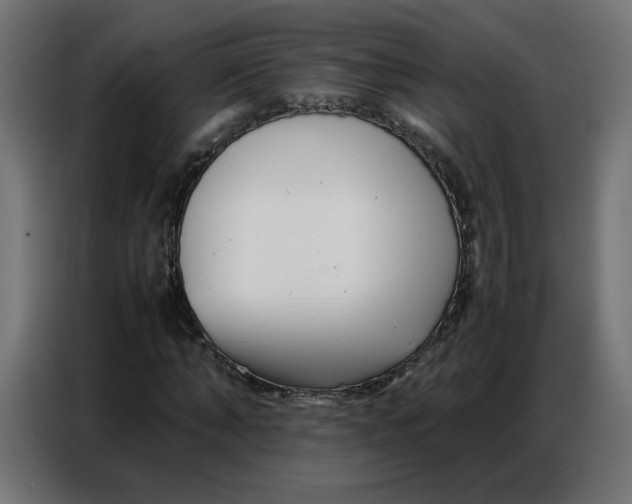 X0000086740870200705041405