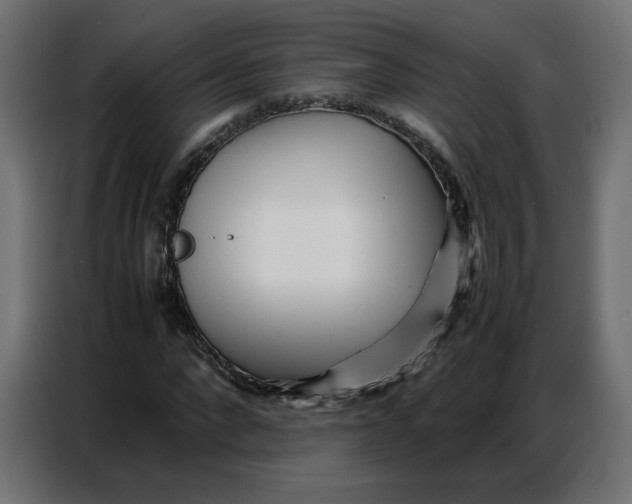 X0000086740872200705041405