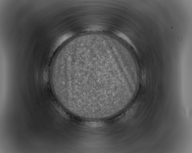 X0000086740874200705041405