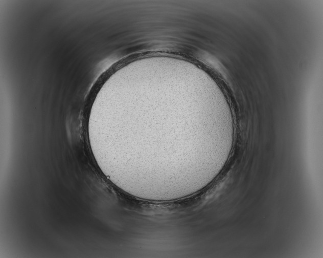 X0000086740875200705041405