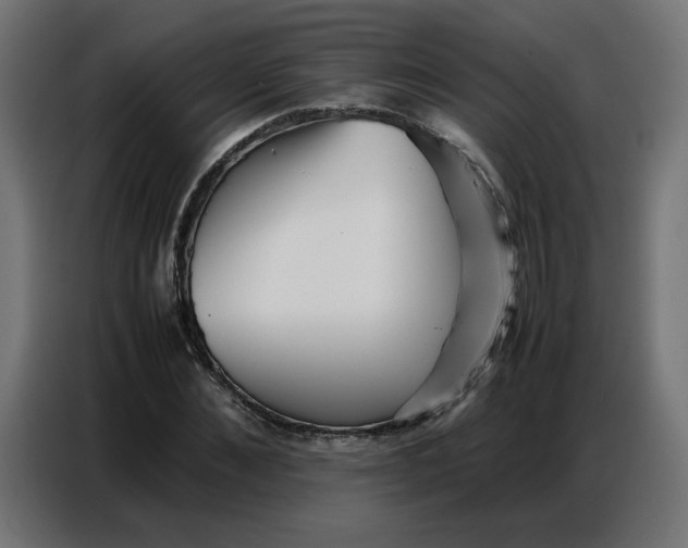 X0000086740876200705041405